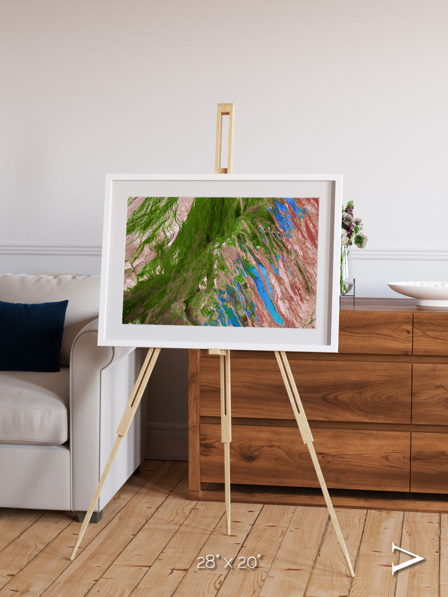 Desert Bloom, Lake Eyre Basin Framed & Mounted Print