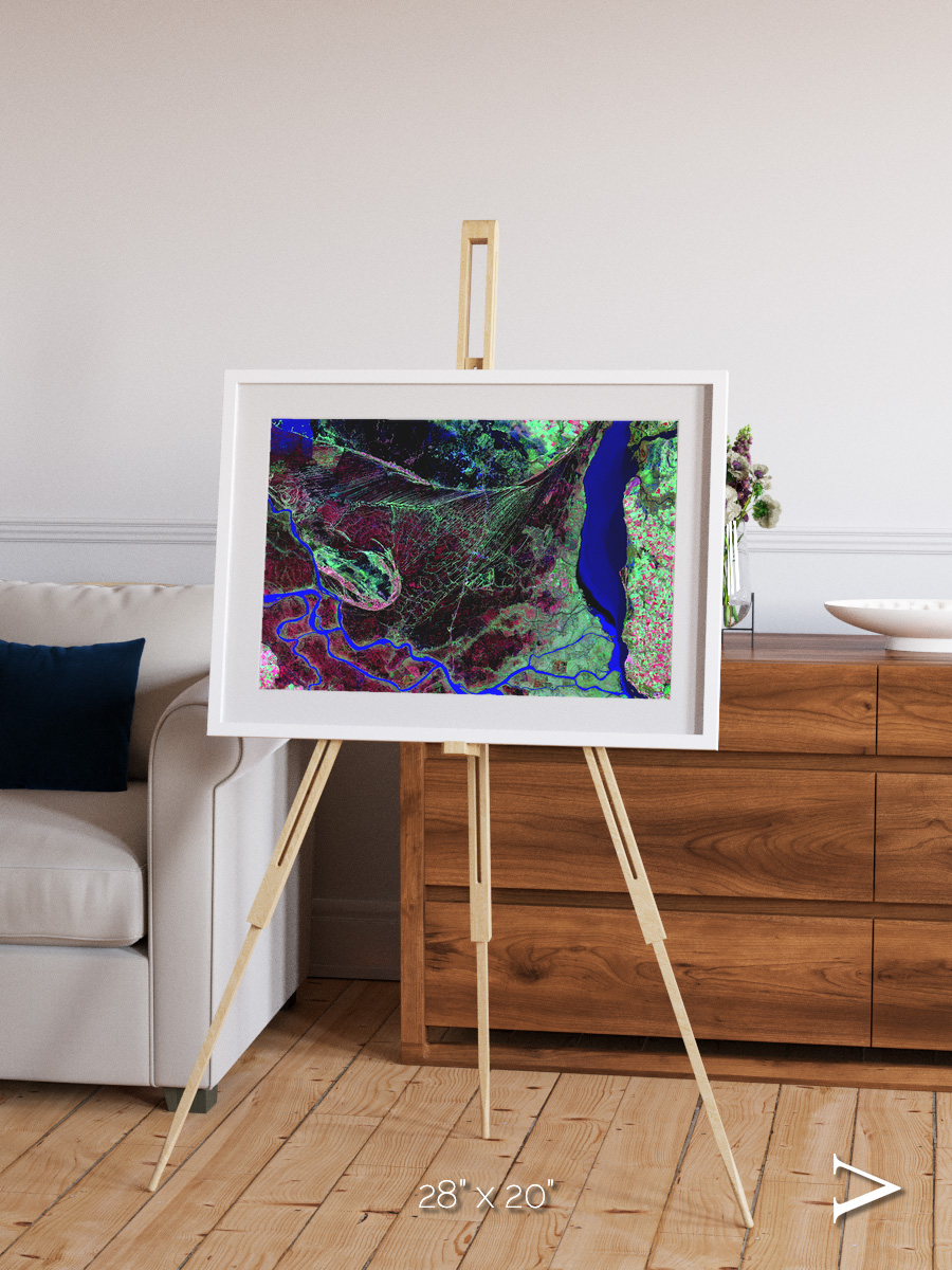 Braided Delta, Parana River Delta Framed & Mounted Print