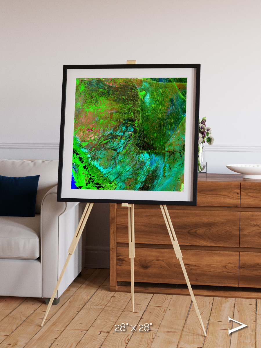 Linear Dunes, Florida Everglades Framed & Mounted Print