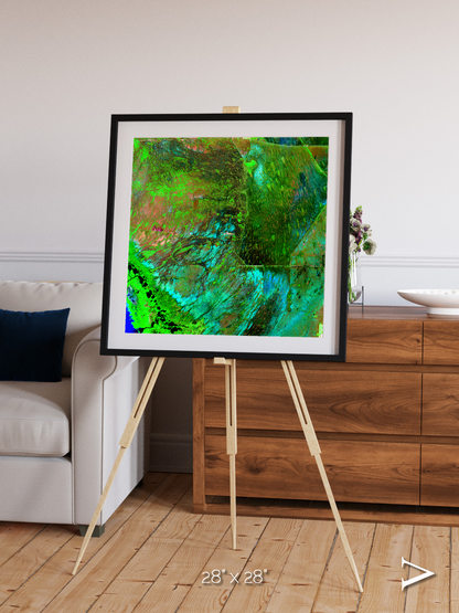 Linear Dunes, Florida Everglades Framed & Mounted Print
