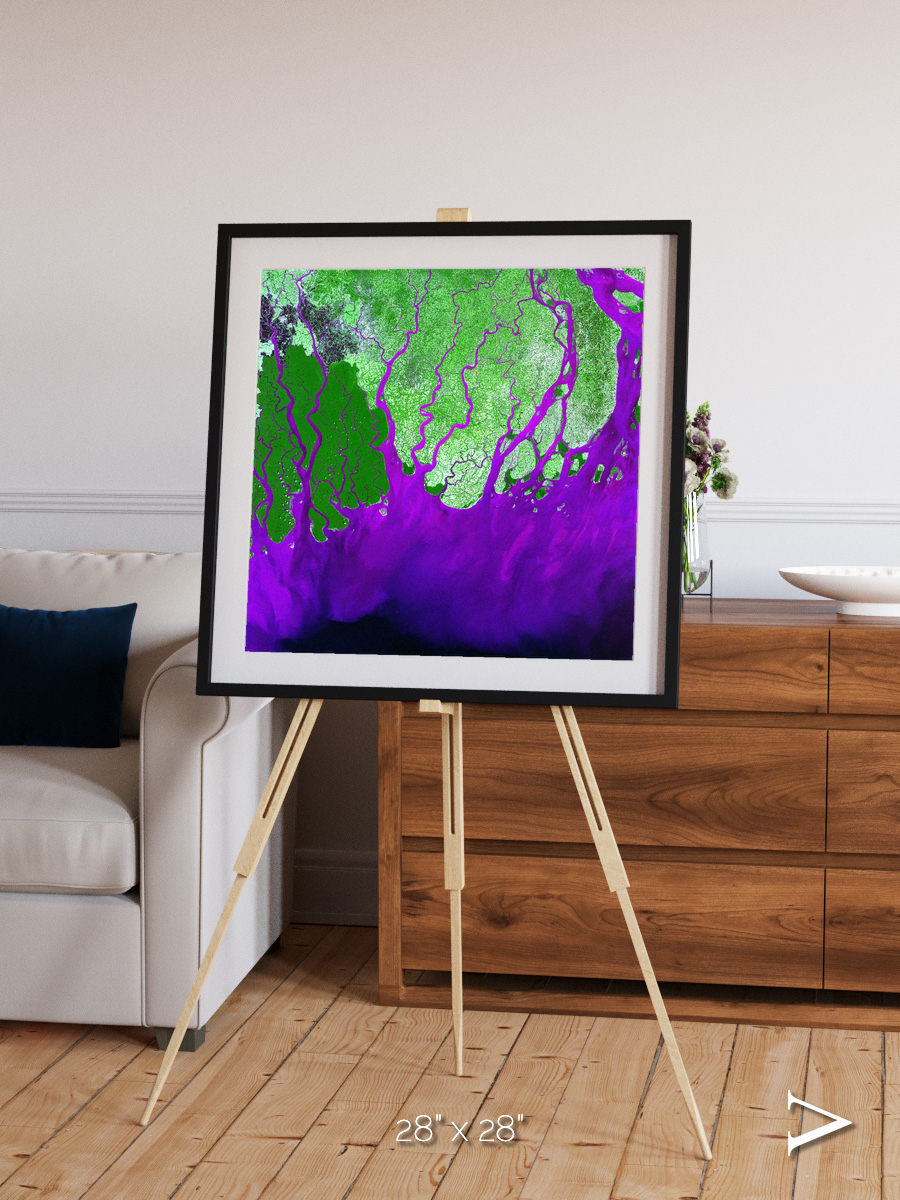 Delta Mosaic, Ganges River Delta Framed & Mounted Print