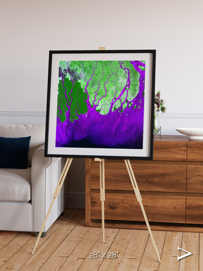 Delta Mosaic, Ganges River Delta Framed & Mounted Print