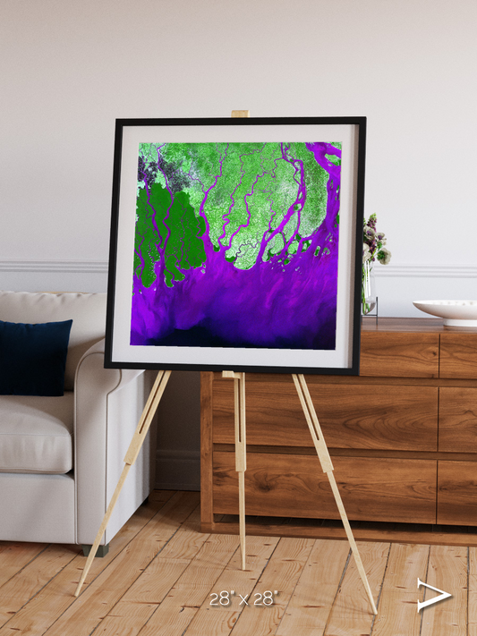 Delta Mosaic, Ganges River Delta Framed & Mounted Print