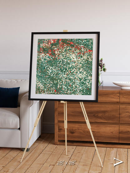 Patterns of Growth, Garden City Framed & Mounted Print