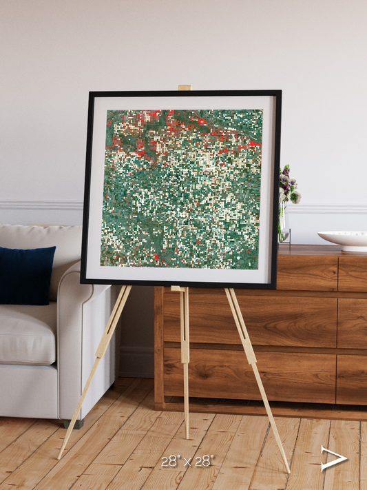 Patterns of Growth, Garden City Framed & Mounted Print