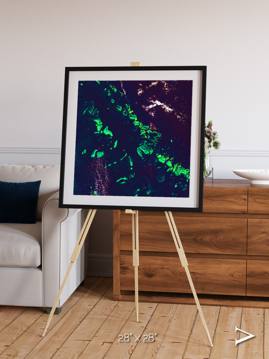 Patterned Ground, Great Barrier Reef Framed & Mounted Print