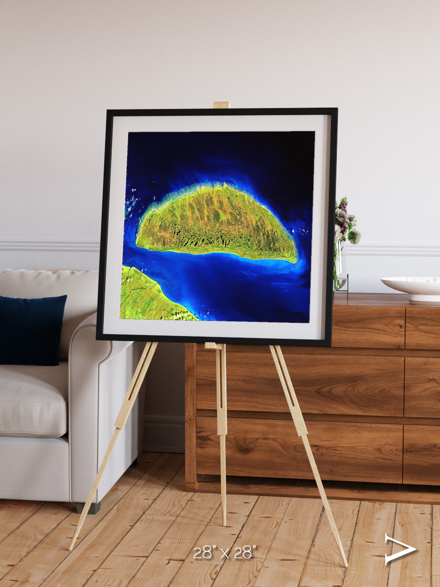 Coastal Fragments, Island Rebound Framed & Mounted Print