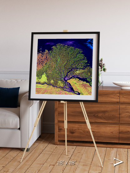 Delta Mosaic, Lena Delta Framed & Mounted Print