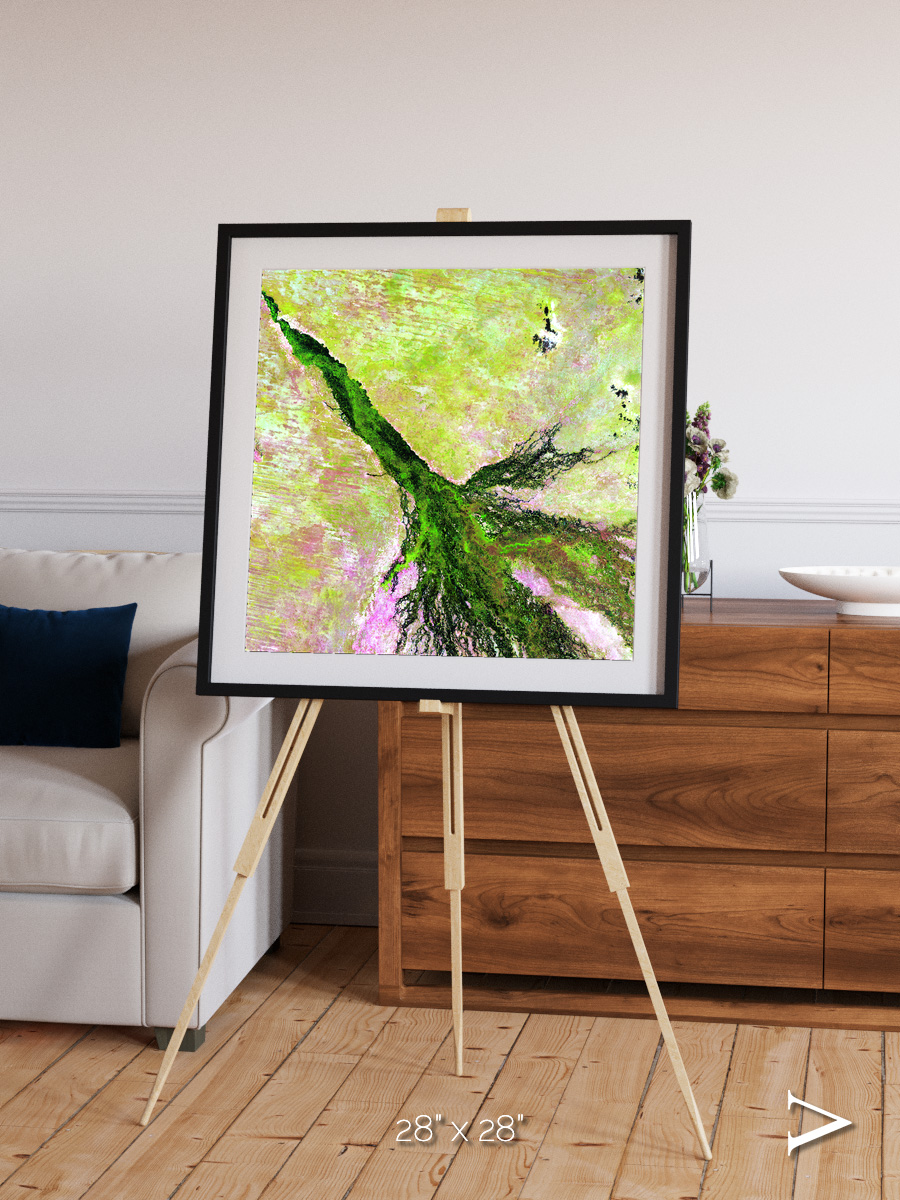 Inland Bloom, Okavango Framed & Mounted Print