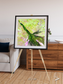 Inland Bloom, Okavango Framed & Mounted Print
