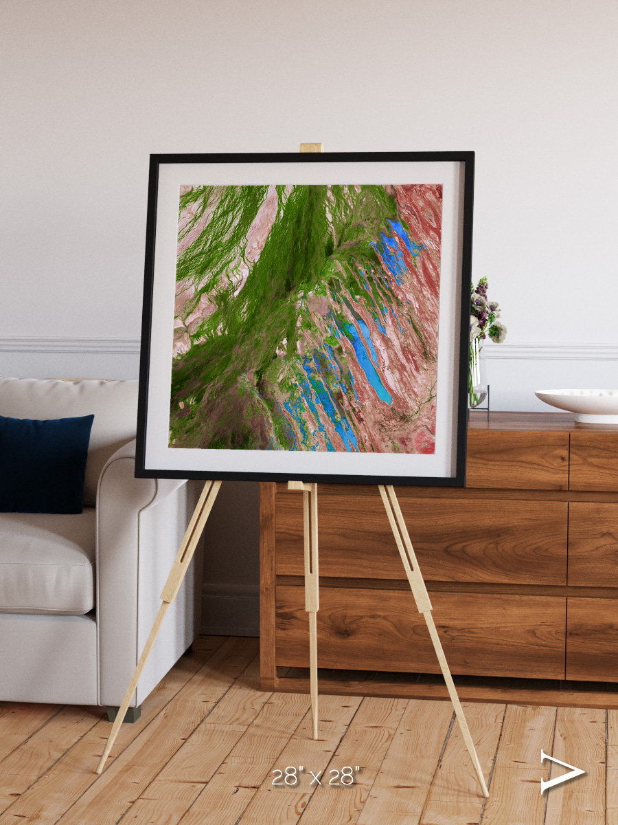 Desert Bloom, Lake Eyre Basin Framed & Mounted Print