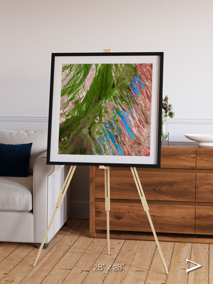 Desert Bloom, Lake Eyre Basin Framed & Mounted Print