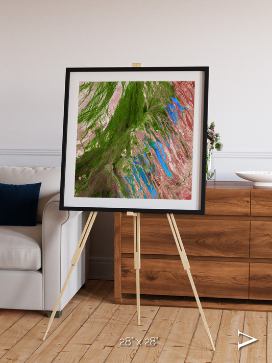 Desert Bloom, Lake Eyre Basin Framed & Mounted Print