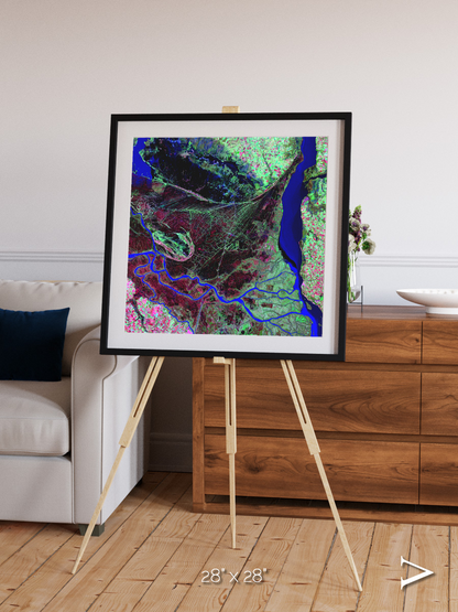 Braided Delta, Parana River Delta Framed & Mounted Print