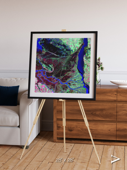 Braided Delta, Parana River Delta Framed & Mounted Print
