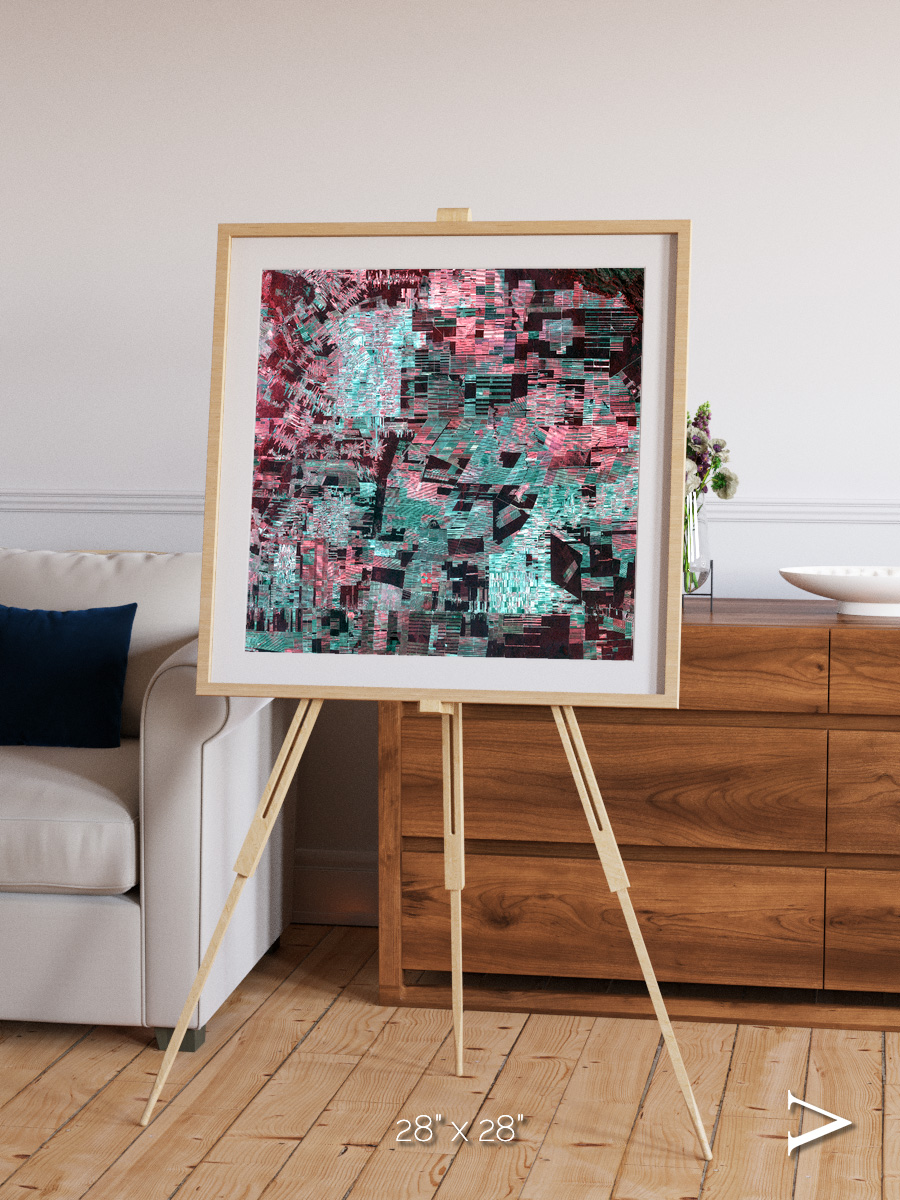 Fractured Canopy, Bolivia Framed & Mounted Print