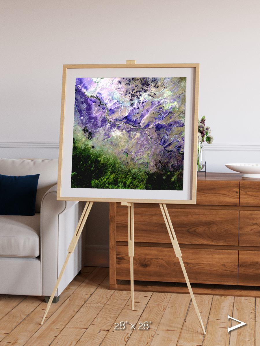 Arid Mosaic, Desert to Forest Framed & Mounted Print