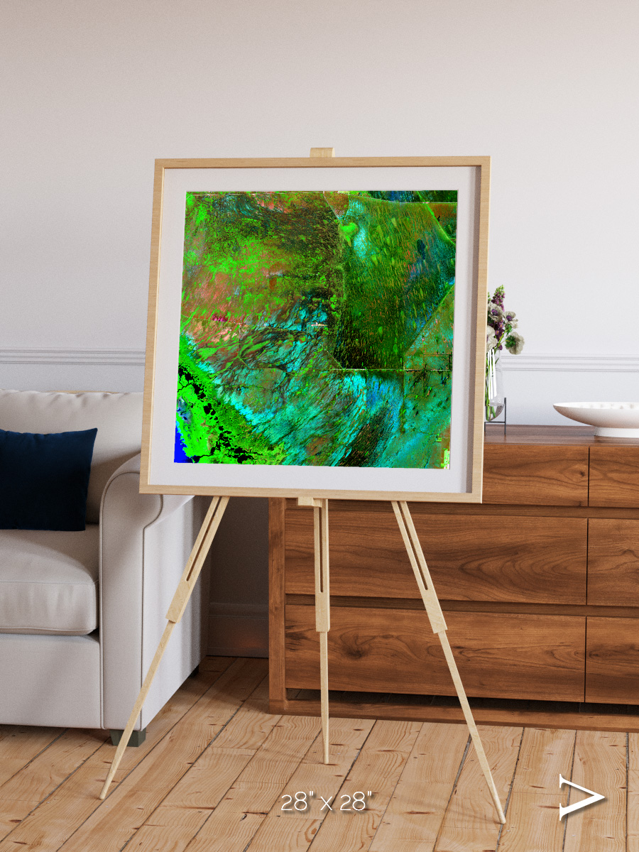 Linear Dunes, Florida Everglades Framed & Mounted Print