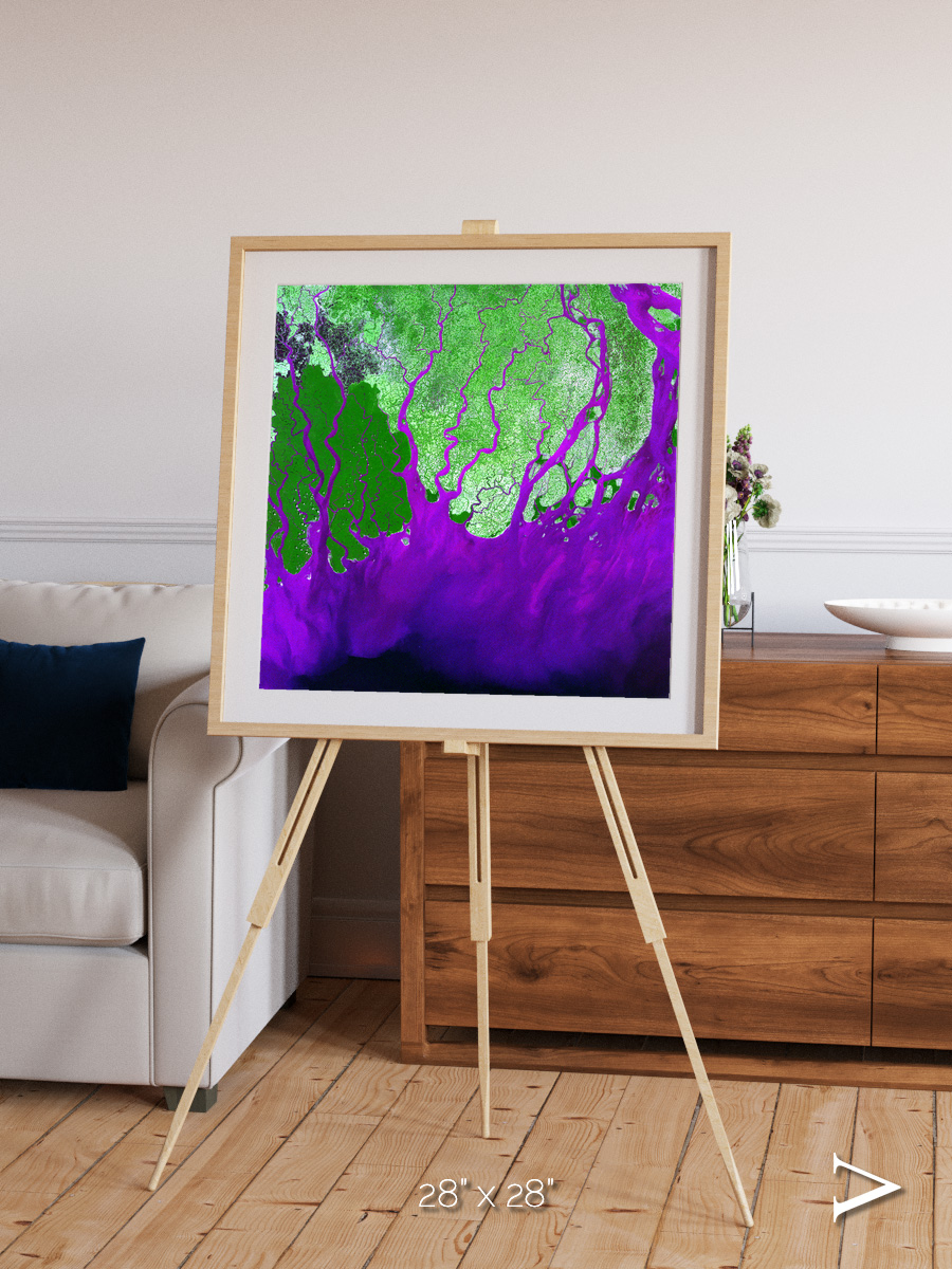 Delta Mosaic, Ganges River Delta Framed & Mounted Print