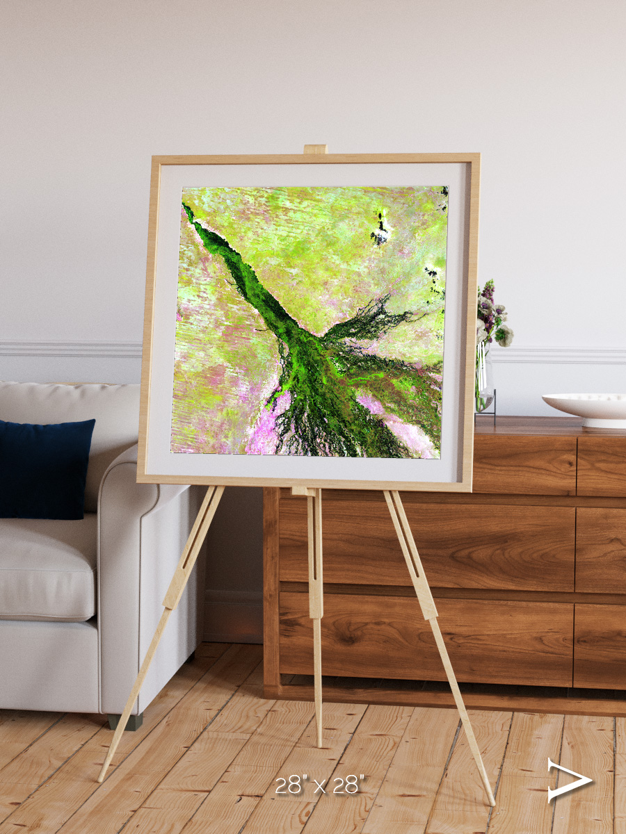 Inland Bloom, Okavango Framed & Mounted Print