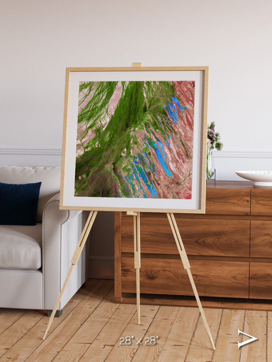 Desert Bloom, Lake Eyre Basin Framed & Mounted Print