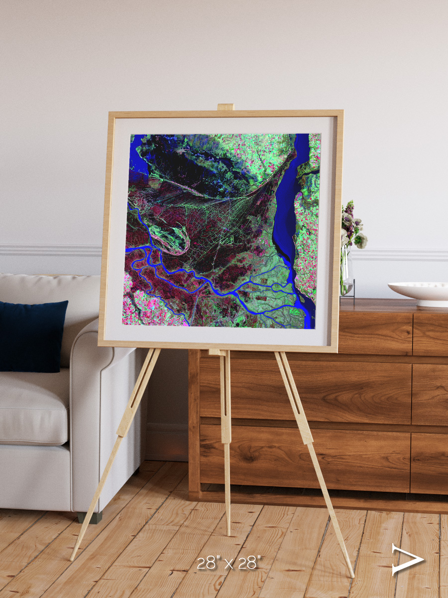 Braided Delta, Parana River Delta Framed & Mounted Print