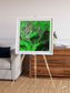 Ribbon River, Araca River Framed & Mounted Print