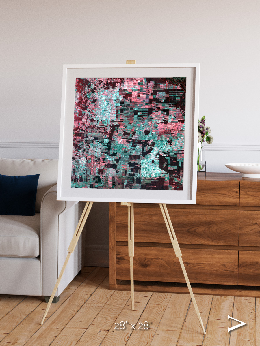 Fractured Canopy, Bolivia Framed & Mounted Print
