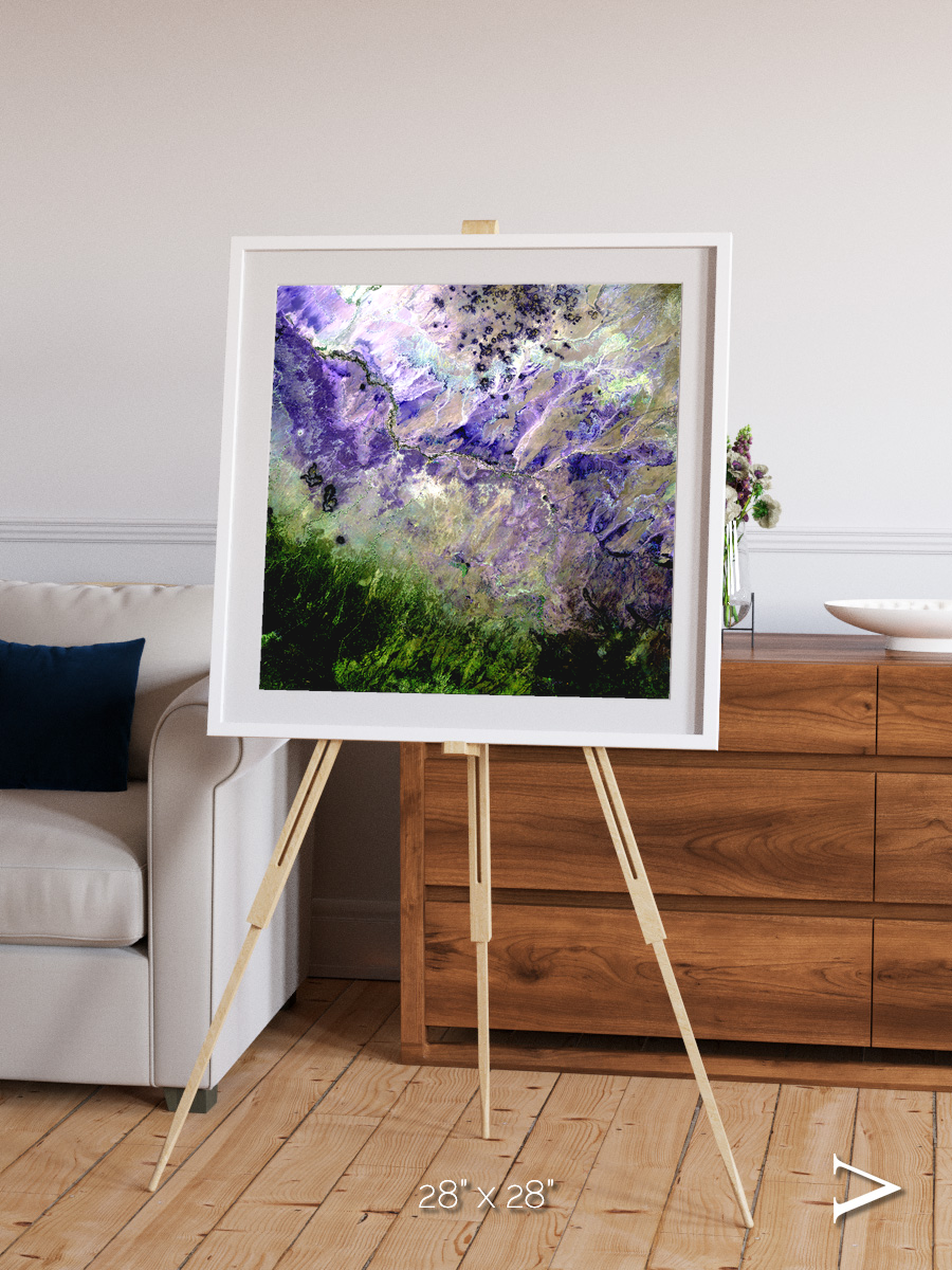 Arid Mosaic, Desert to Forest Framed & Mounted Print