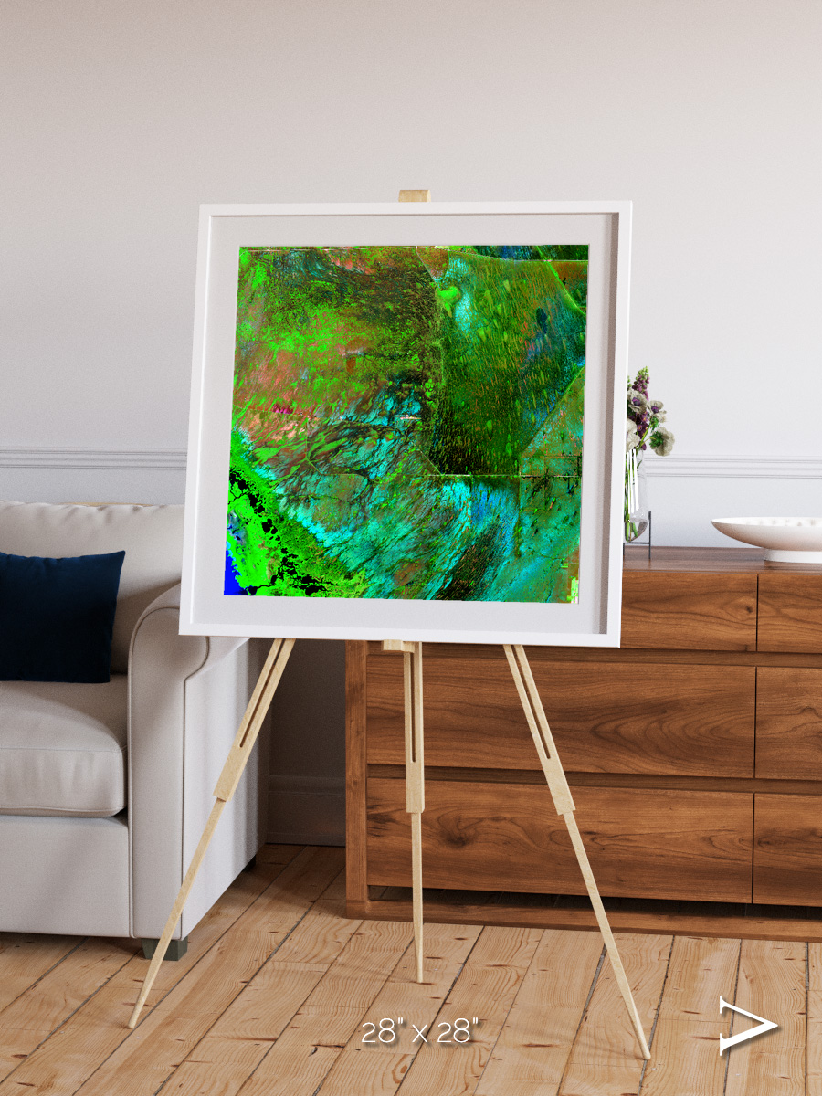 Linear Dunes, Florida Everglades Framed & Mounted Print