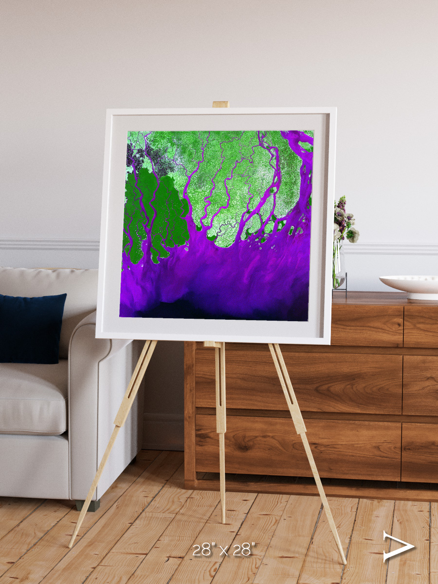 Delta Mosaic, Ganges River Delta Framed & Mounted Print