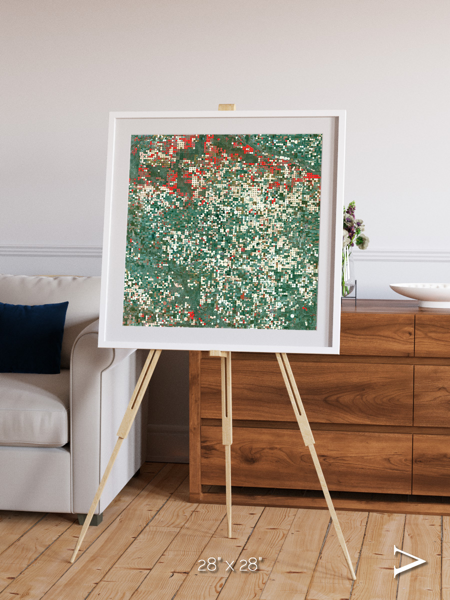 Patterns of Growth, Garden City Framed & Mounted Print