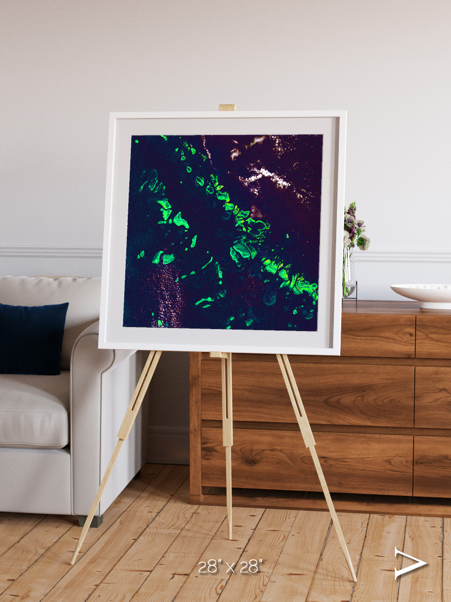 Patterned Ground, Great Barrier Reef Framed & Mounted Print