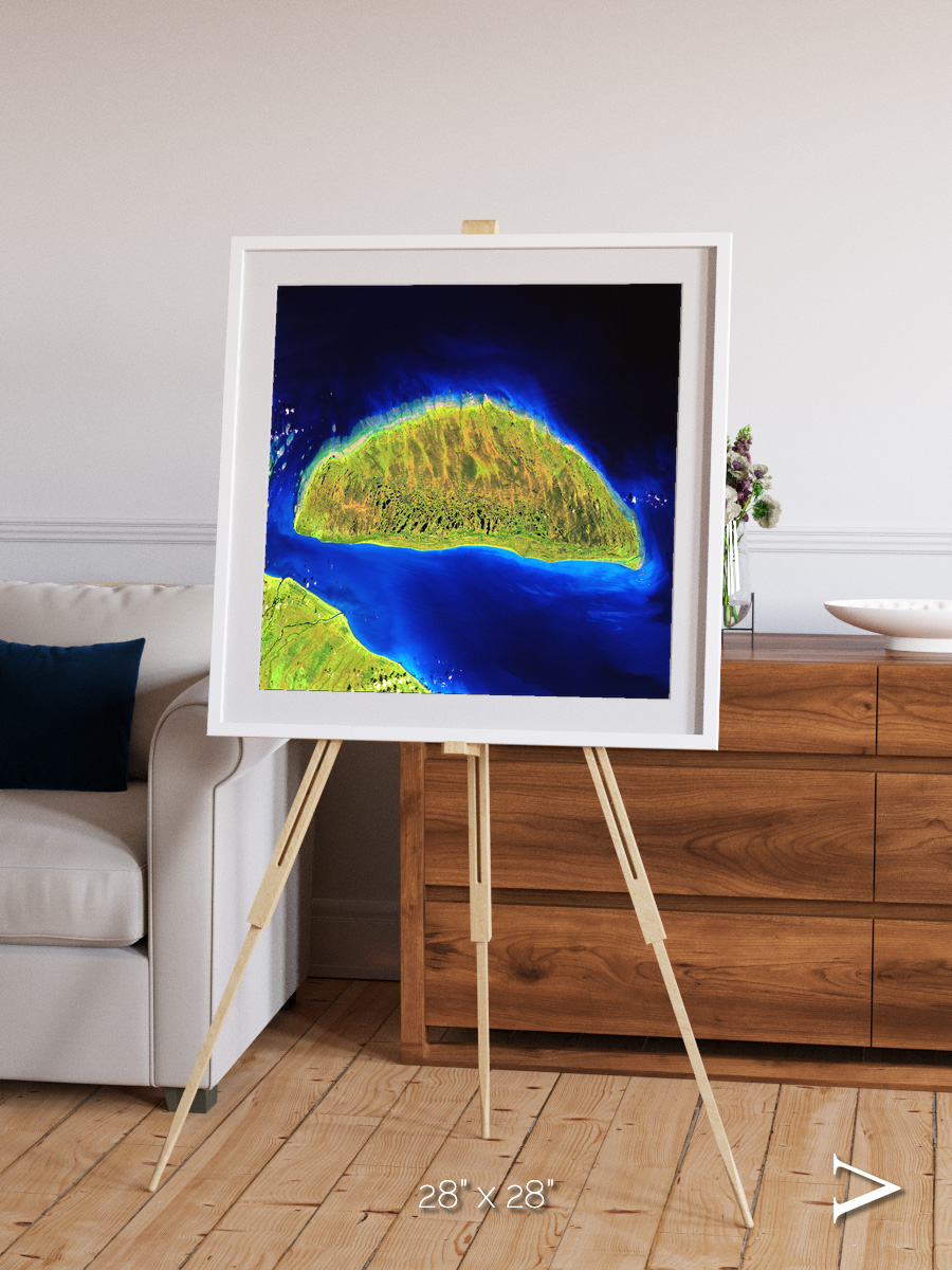 Coastal Fragments, Island Rebound Framed & Mounted Print