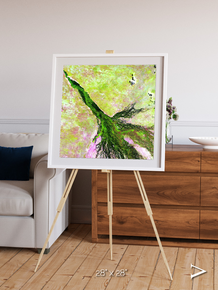 Inland Bloom, Okavango Framed & Mounted Print