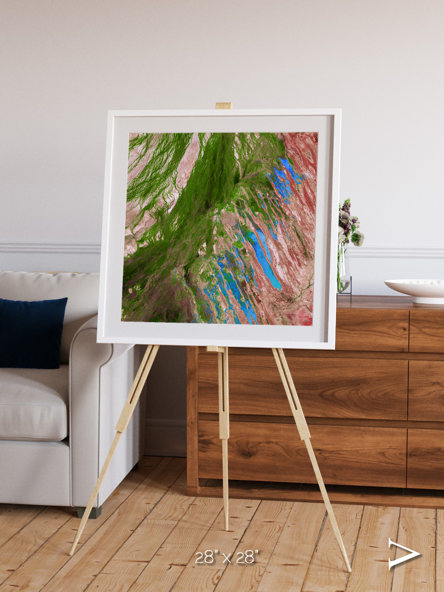 Desert Bloom, Lake Eyre Basin Framed & Mounted Print