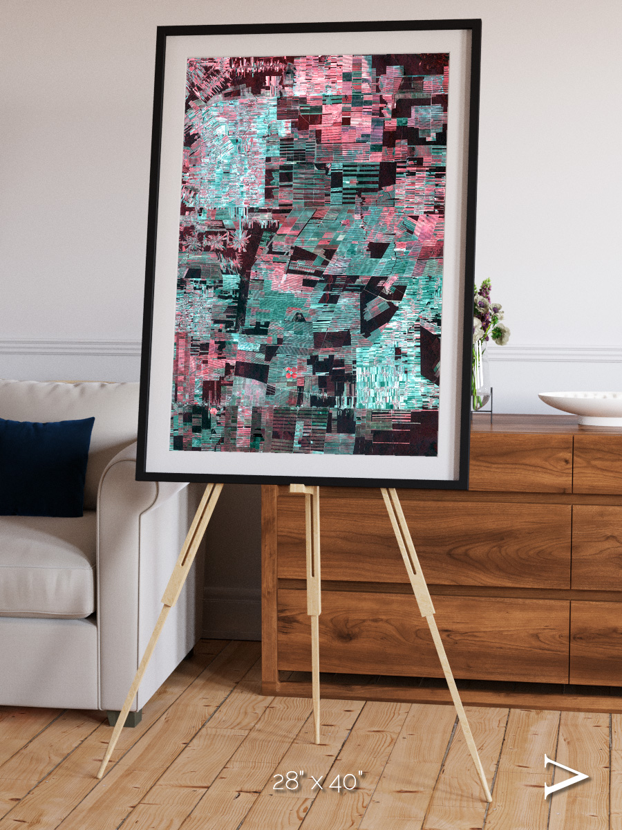 Fractured Canopy, Bolivia Framed & Mounted Print