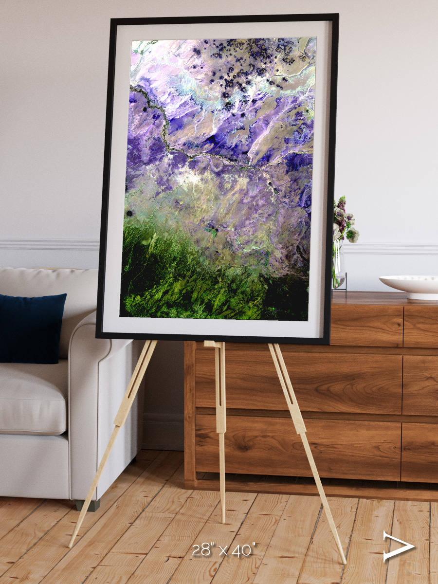 Arid Mosaic, Desert to Forest Framed & Mounted Print
