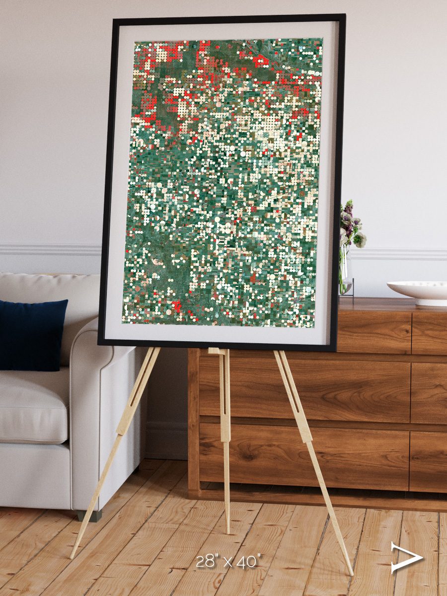 Patterns of Growth, Garden City Framed & Mounted Print