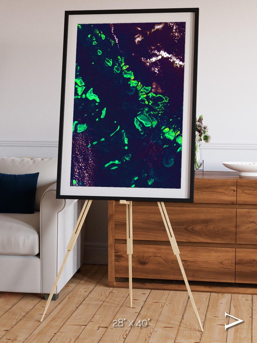 Patterned Ground, Great Barrier Reef Framed & Mounted Print