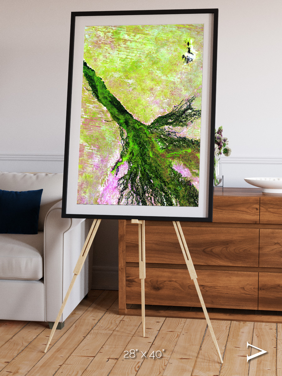 Inland Bloom, Okavango Framed & Mounted Print