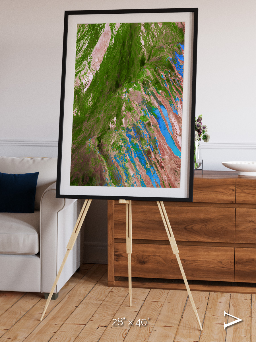 Desert Bloom, Lake Eyre Basin Framed & Mounted Print