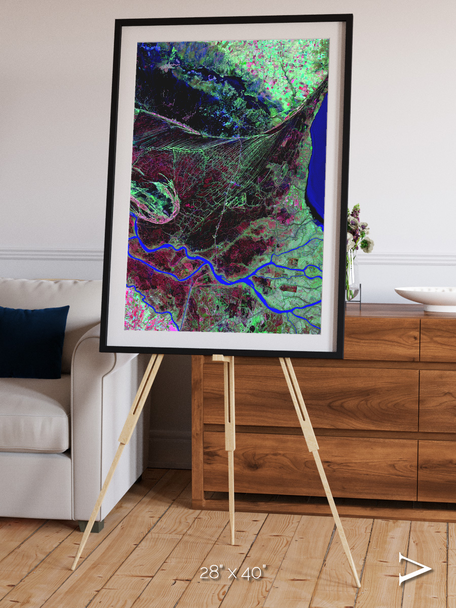 Braided Delta, Parana River Delta Framed & Mounted Print