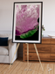 Monsoon Divide, Dhofar Framed & Mounted Print