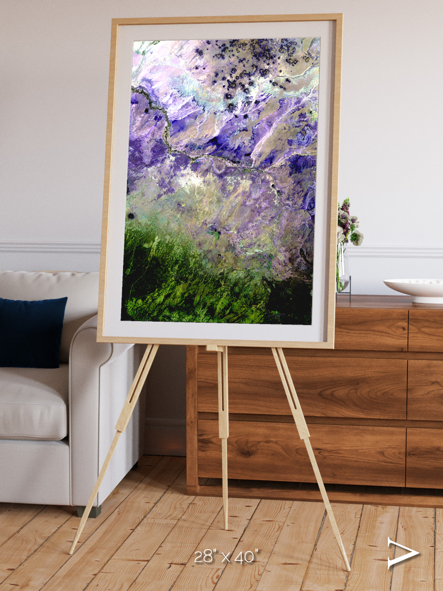 Arid Mosaic, Desert to Forest Framed & Mounted Print