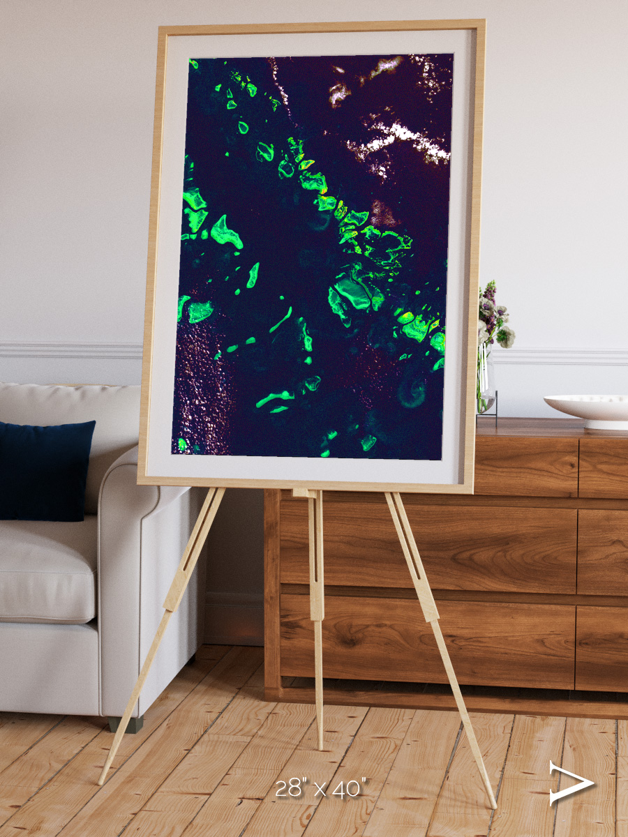 Patterned Ground, Great Barrier Reef Framed & Mounted Print