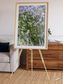 Earth in Colour, Namaqualand Framed & Mounted Print