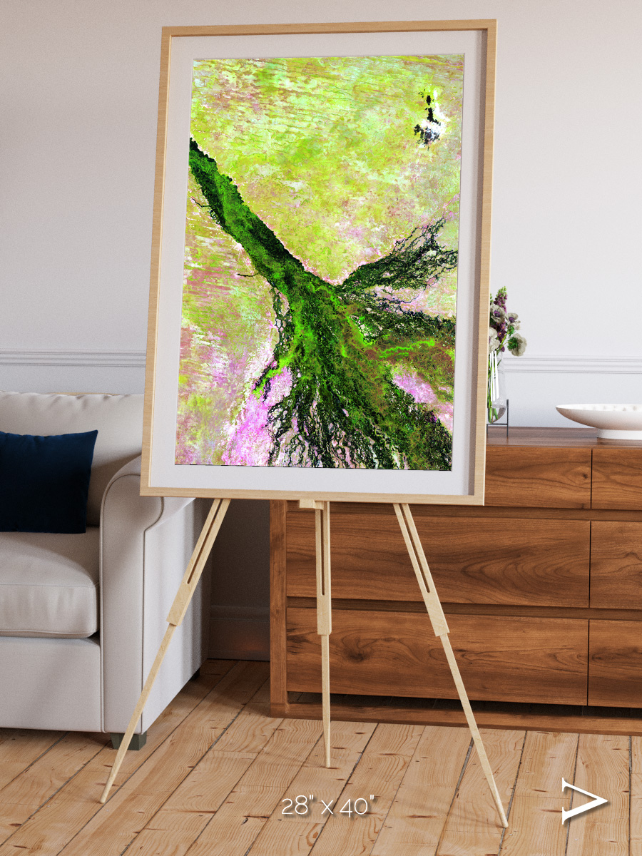 Inland Bloom, Okavango Framed & Mounted Print