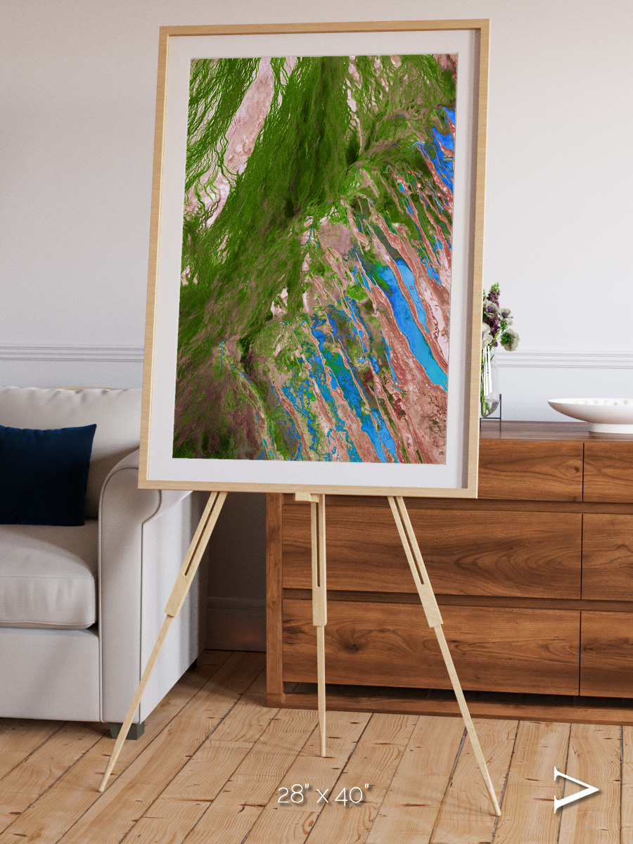 Desert Bloom, Lake Eyre Basin Framed & Mounted Print