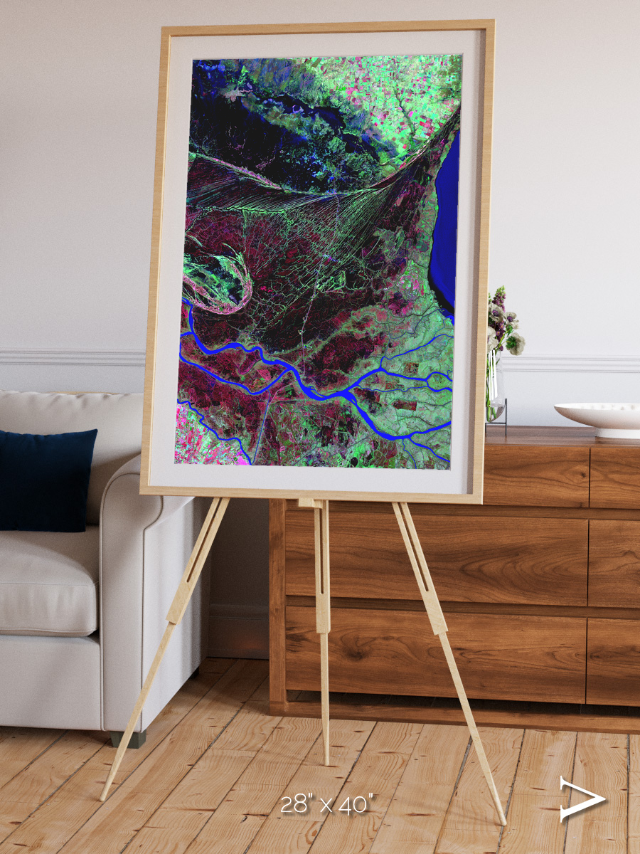 Braided Delta, Parana River Delta Framed & Mounted Print